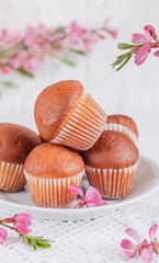 Sweet muffins on a plate with spring pink flowers on a white background.