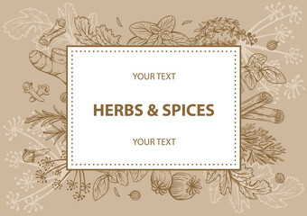 Vector copy space linear illustrations with spices and herbs, basil, parsley, coriander, rosemary, cinnamon, chili, pepper, thyme, turmeric, black pepper, ginger, oregano, cumin, poppy, anise, garlic,