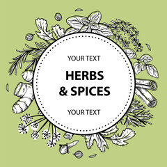 Vector copy space linear illustrations with spices and herbs, basil, parsley, coriander, rosemary, cinnamon, chili, pepper, thyme, turmeric, black pepper, ginger, oregano, cumin, poppy, anise, garlic,