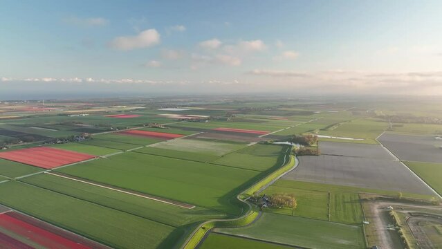 Westfriese Dijk 1 - Dike North-Holland spring season - Stabilized droneview in 4k