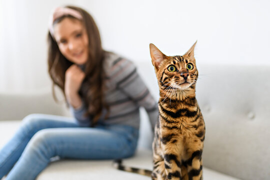 little girl with bengal cat sit on sofa at home