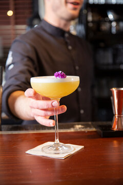 Young male bartender serving exotic cocktail at counter