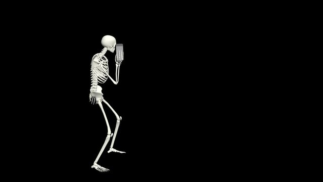 Skeleton is talking on the phone. Skeleton conversation using the phone. 3D realistic animation.