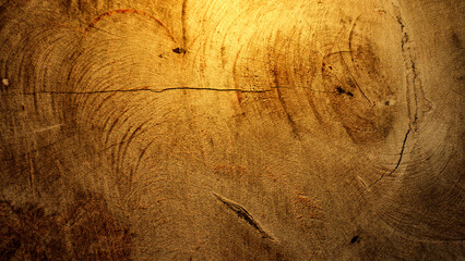 Wood texture abstract background