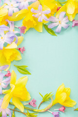 spring flowers on green  papper background