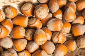 Group of hazelnuts in the husks on pressed palm leaf