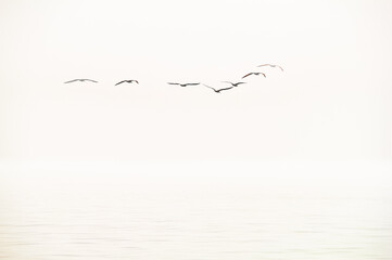 minimalism in the landscape