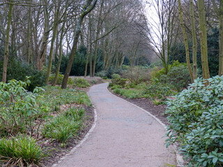 Footpath in park with green plants