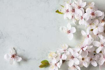 Blooming cherry plum branch on decorative paper background, space for congratulations text