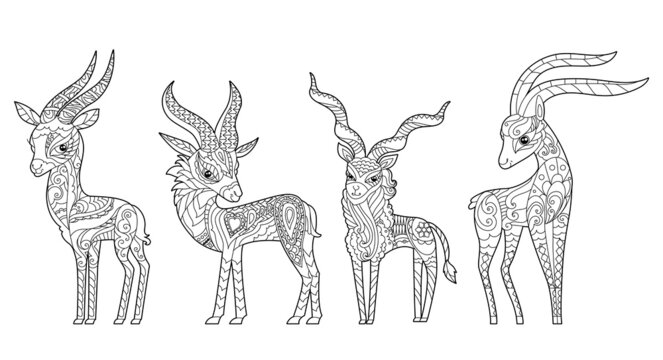 Cute capricorns. Doodle style, black and white background. Funny animal, coloring book pages. Hand drawn illustration in zentangle style for children and adults, tattoo.