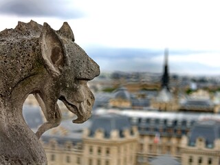 gargoyle in the church of Notre Dame