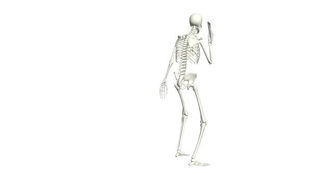 Skeleton is talking on the phone. Skeleton conversation using the phone. 3D realistic animation. White background.