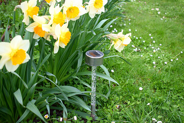 Lamp on the solar panel in the garden.