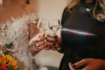 Close up of happy young friends having fun and toasting and celebrating.