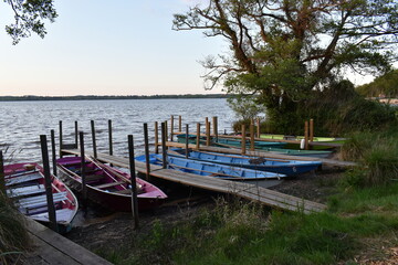 Barques sur le lac de Léon (Landes) au coucher du soleil - France