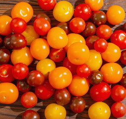various tomatoes on dark wooden table