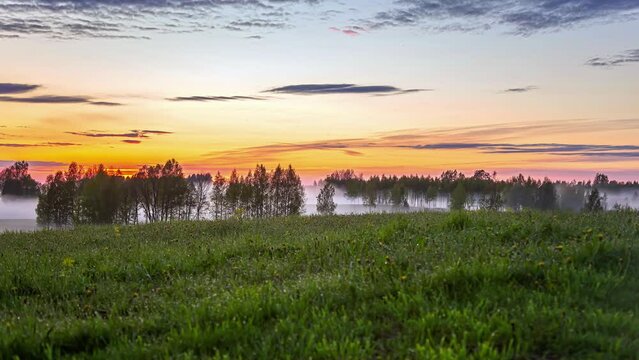 Static view of orage sky during sunset in timelapse with trees and grass growing in rural countryside in timelapse. Dense fog flying between grass field in the evening time.