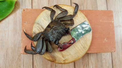 Crab holding a knife on a cutting board to cook.