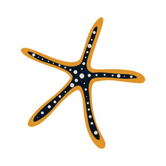 Illustration of starfish on white background. Vector illustration cartoon flat style