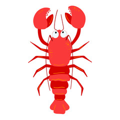 Illustration of sea crayfish on white background. Vector illustration cartoon flat style