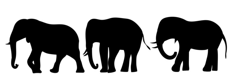 elephant black silhouette, on white background, isolated, vector