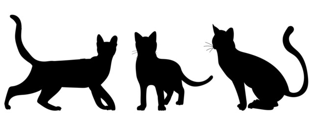 cats silhouette, on white background, isolated, vector