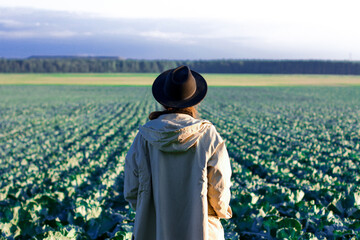 Fototapeta premium a woman in a field with cabbage. autumn harvest season.