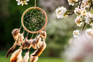 Dreamcatcher hanging on blooming tree in wind at springtime. Spirituality and ritual ornament for...