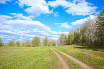  a wonderful summer day in the forest. country road. the sky is in the clouds. beautiful landscape  