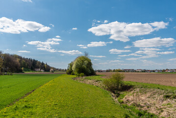 Landschaft mit Wiesen, Feldern und Bach und Baum vor Blauem Himmel mit Wolken