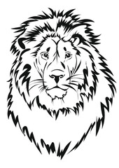 lion