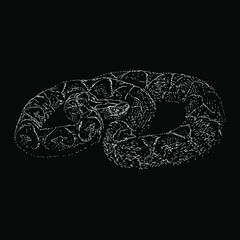 yarara snake hand drawing vector illustration isolated on black background