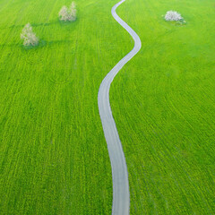 Asphalt countryside road winding through fields of green grass and trees, aerial minimalistic landscape