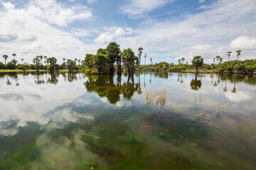 Lake on Sri Lanka