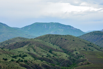 Fototapeta na wymiar Crimean mountains with vineyards on a cloudy, rainy day