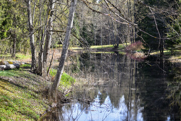 Fototapeta na wymiar Pond in spring in an old country park