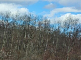 On The Road in Pennsylvania