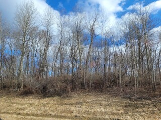 On The Road in Pennsylvania