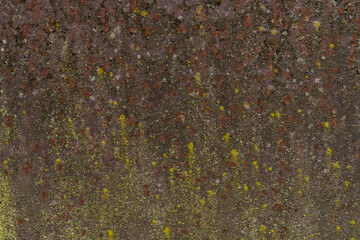Painted iron surface with a large rusty, black spot and metal corrosion. Old background with peeling and cracking paint.