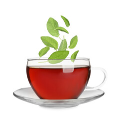 Fresh sage leaves falling into cup of freshly brewed tea on white background