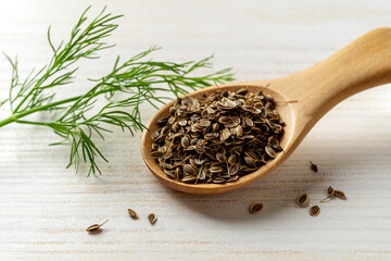 Fototapeta na wymiar Whole dill seeds in a wooden spoon and fresh green dill sprig on a white wooden table. Concept of natural spices and seasonings for cooking. Anethum graveolens fruits for herbal medicine.
