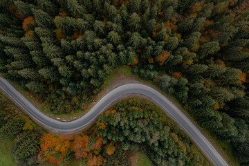 Aerial view of beautiful forest and empty road on autumn day