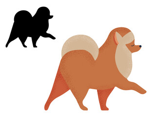 Pomeranian Spitz Dog Breed in Cartoon and Outline
