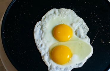 fried egg 
