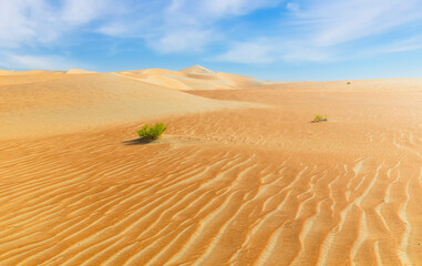 Dunes and colored sands of the Rub al-Khali desert