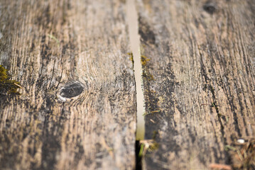 Surface and texture of old boards. Selective focus.