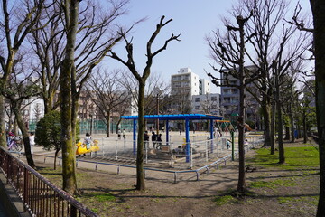 Fototapeta premium 業平公園 東京