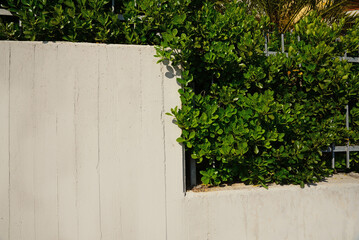 Concrete fence with metal railing and green bushes outdoors on sunny day, space for text