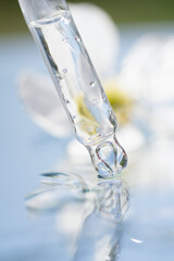 Pipette with transparent liquid against white flower on blue background. Texture of face serum or...
