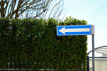Road sign One Way Traffic and green shrubbery outdoors